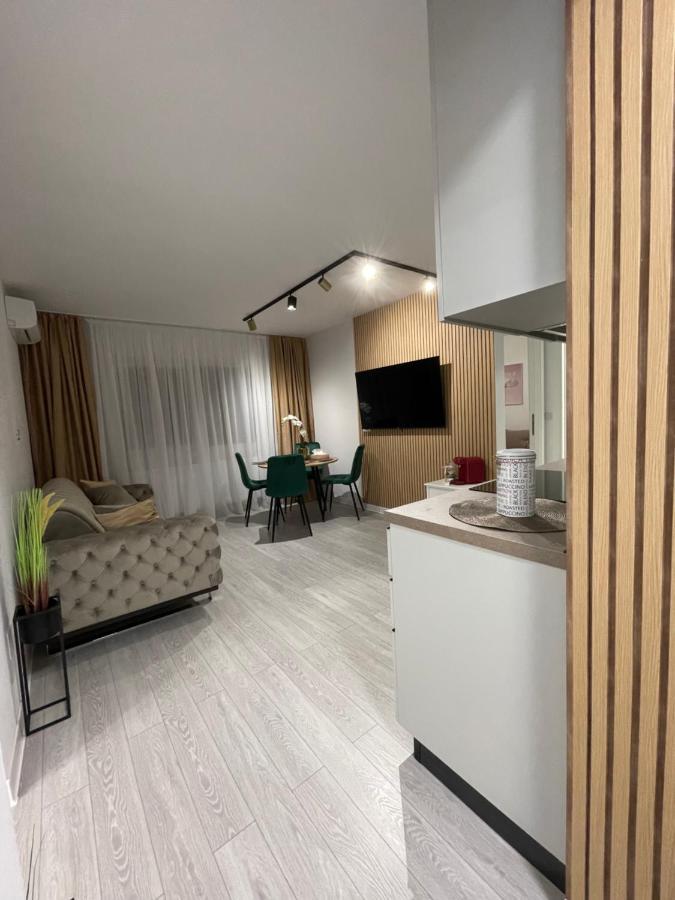 Oxana Apartments - 3 Camere - טימישוארה מראה חיצוני תמונה