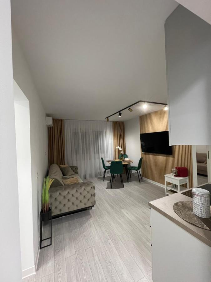 Oxana Apartments - 3 Camere - טימישוארה מראה חיצוני תמונה