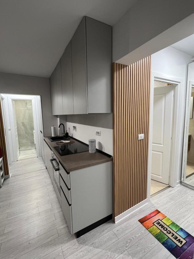 Oxana Apartments - 3 Camere - טימישוארה מראה חיצוני תמונה