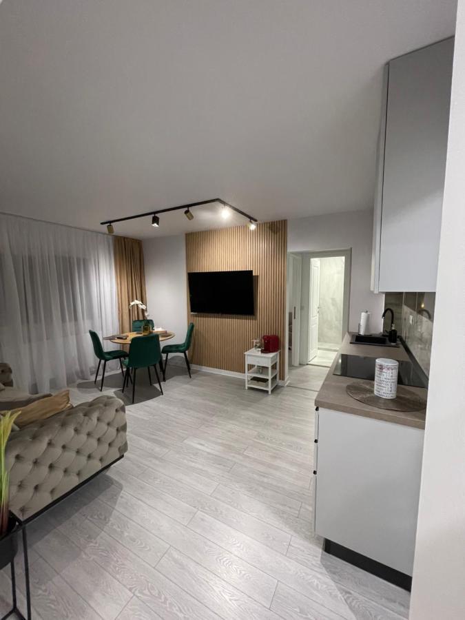 Oxana Apartments - 3 Camere - טימישוארה מראה חיצוני תמונה
