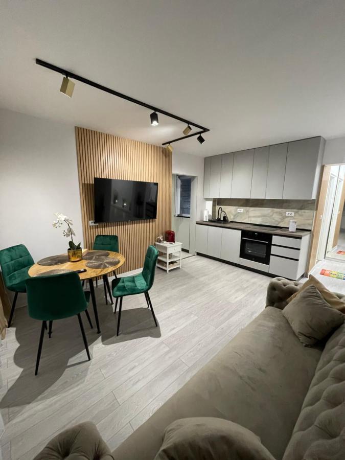 Oxana Apartments - 3 Camere - טימישוארה מראה חיצוני תמונה