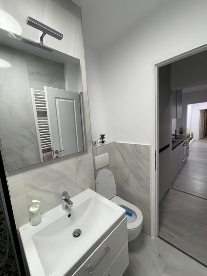 Oxana Apartments - 3 Camere - טימישוארה מראה חיצוני תמונה